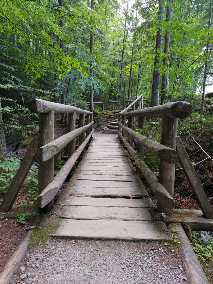 IMG-20200731-WA0002.jpg - BB35