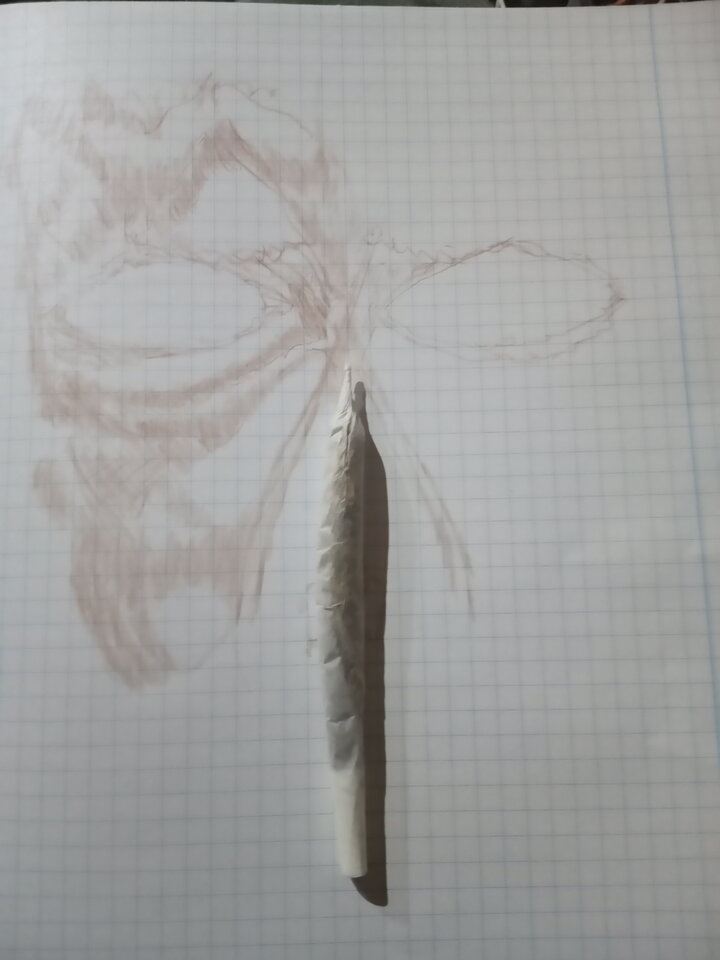 IMG_20210211_192734_571.jpg - dobrybat_21