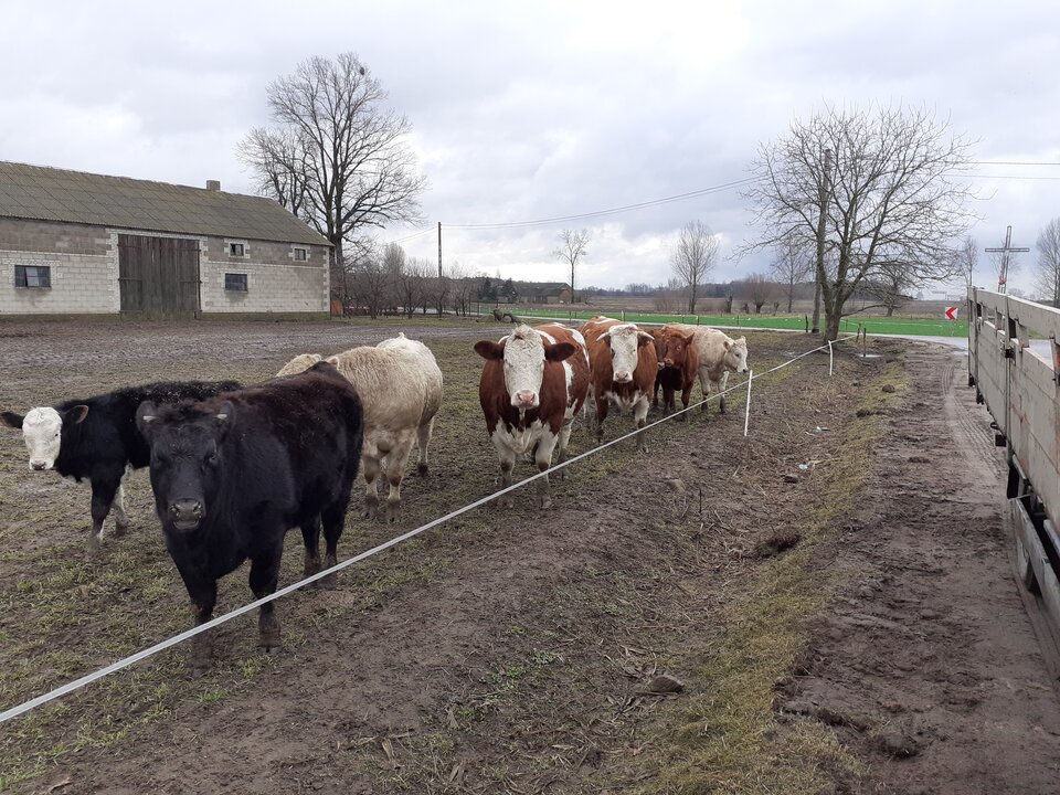 20200131_111154.jpg - hypns