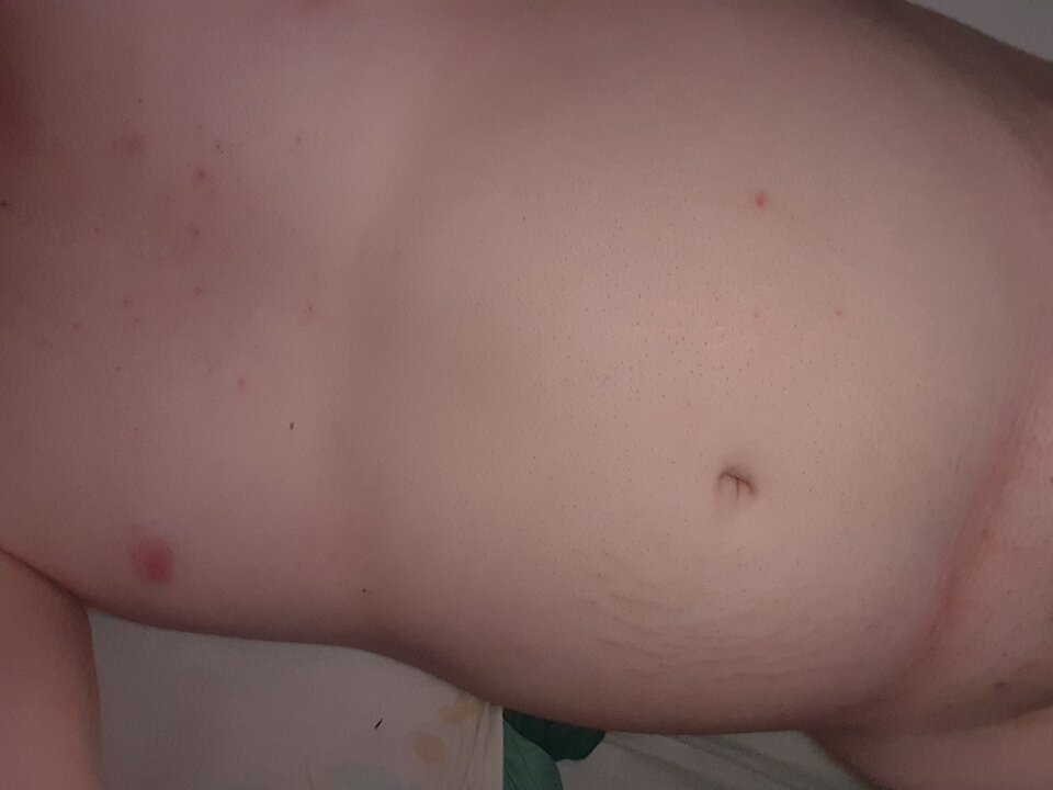 20210210_234432.jpg - Hirvi