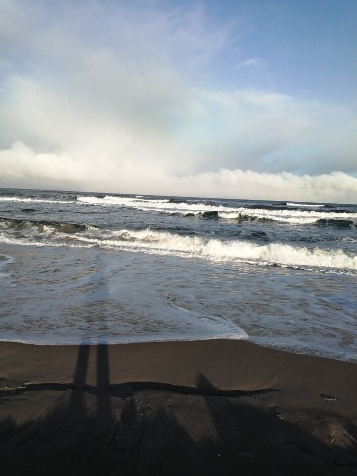 IMG_20210212_084453_01.jpg - Frelka_ze_wsi