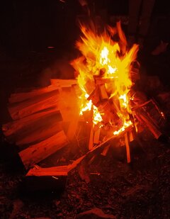 IMG_20210213_112810.jpg