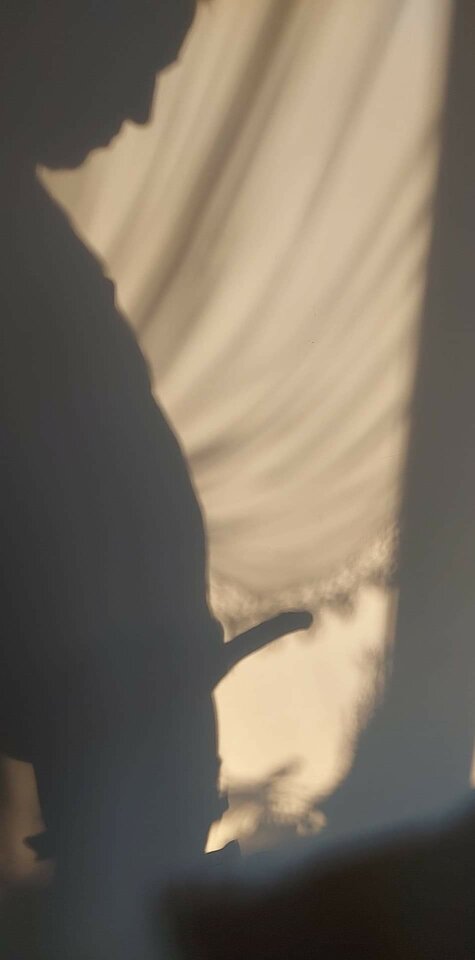 received_774798816467661.jpeg - Rafallubisex