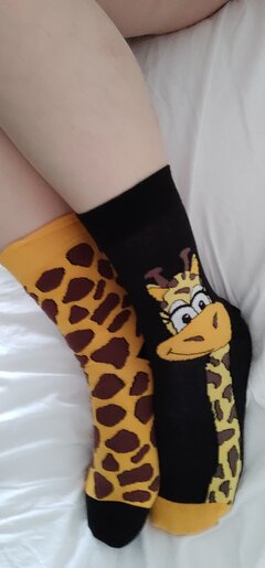 🦒💖🦒💖🦒💖