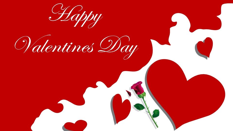 tapeta-zyczenia-walentynkowe-z-roza-i-sercami.jpg - arosdj