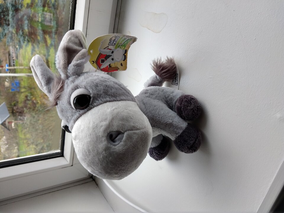 IMG_20201213_103656788_HDR.jpg - pavloff