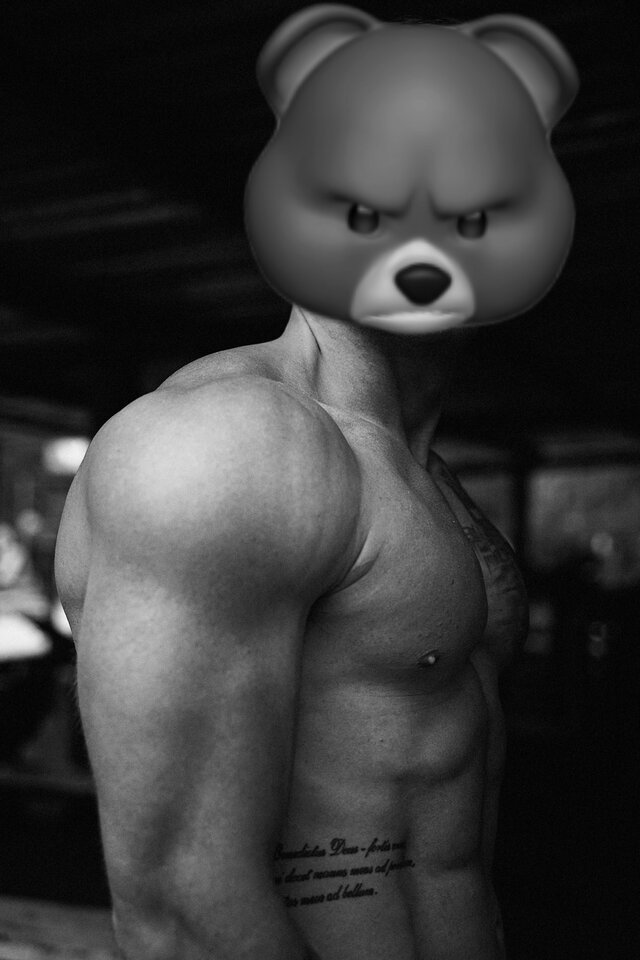35.11.jpg - bearbunny