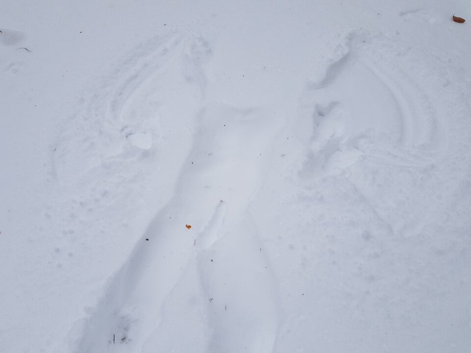 20210215_122229.jpg - tropiciel_no1