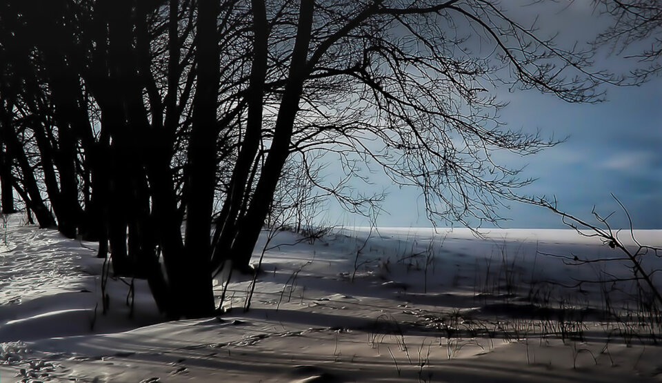 IMG_20210216_153437.jpg - Roscoo