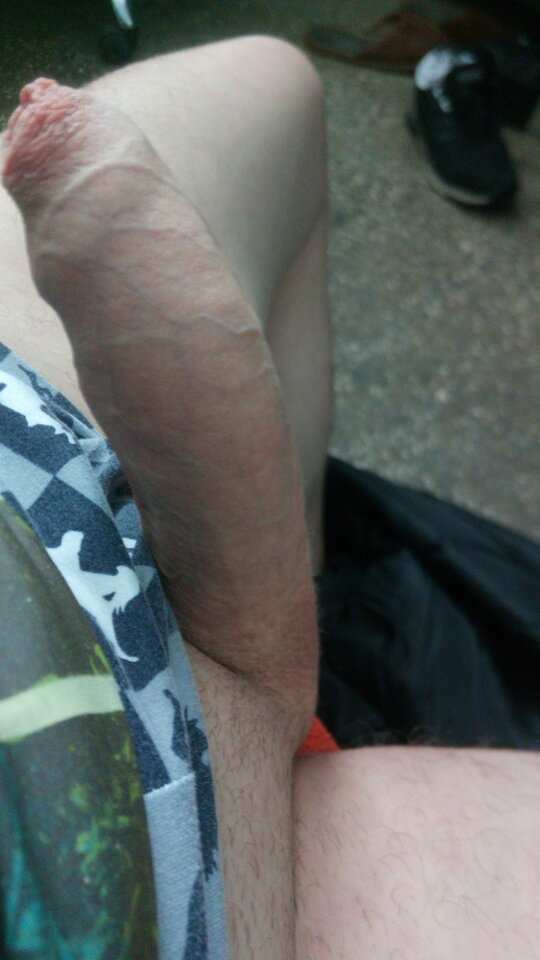 IMG-20210217-WA0012.jpeg - Hmmm82