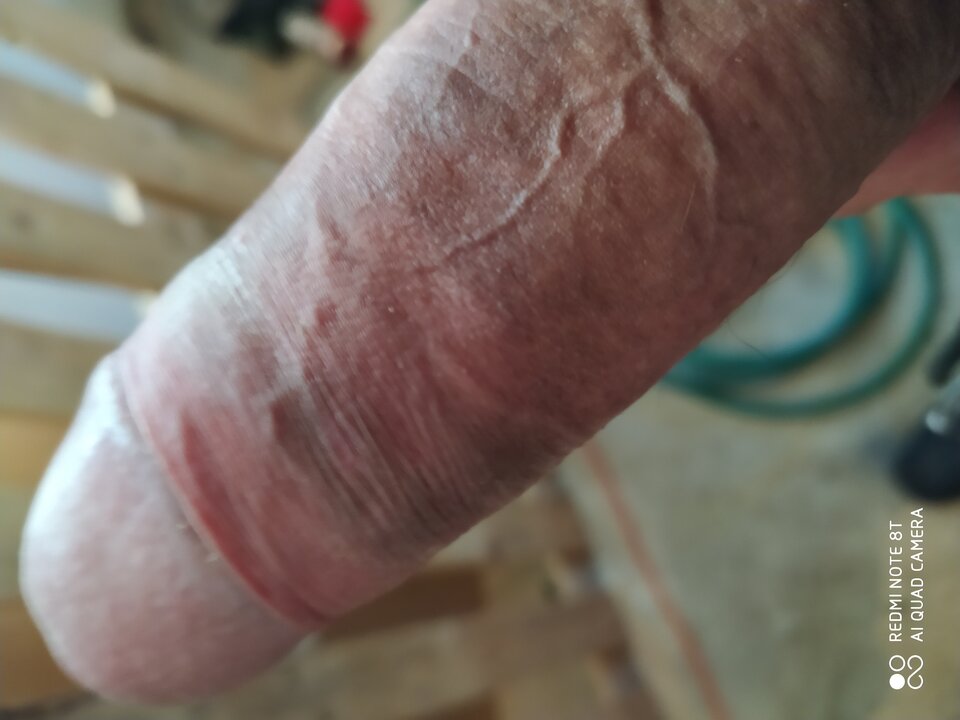 IMG_20210214_143247.jpg - Lolek2018