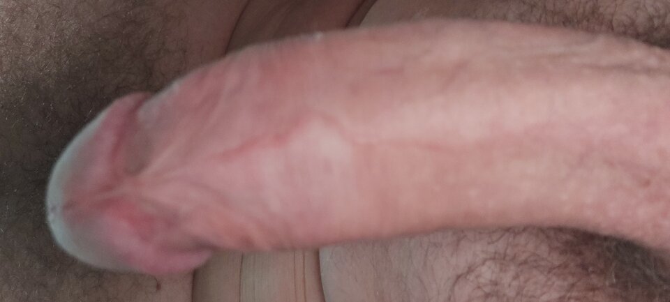 16136846728721968120233352689992.jpg - bialy198