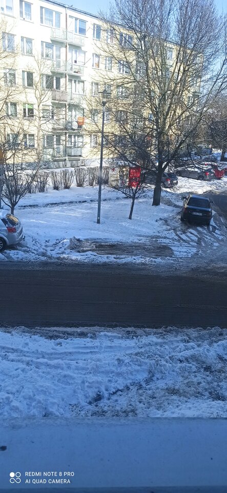 IMG_20210218_112644.jpg - milutkikutasek