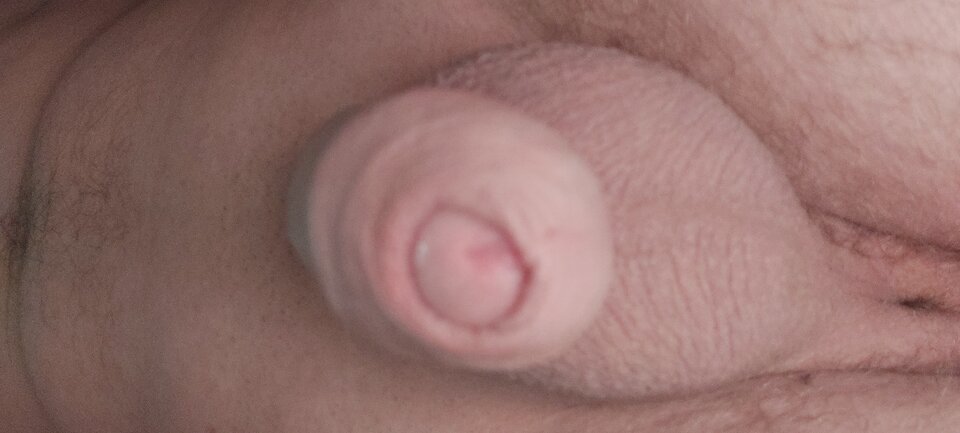 1613720388258712604443838121828.jpg - bialy198