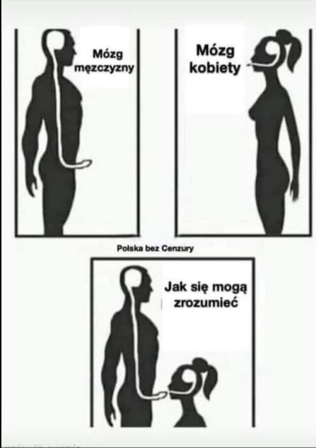 La_Bella_e_la_Bestia