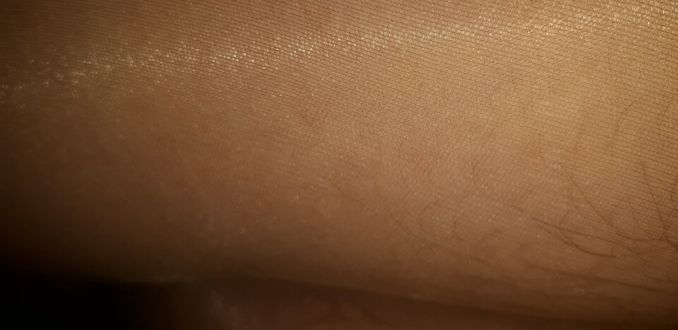20210219_150356.jpg - transnocka