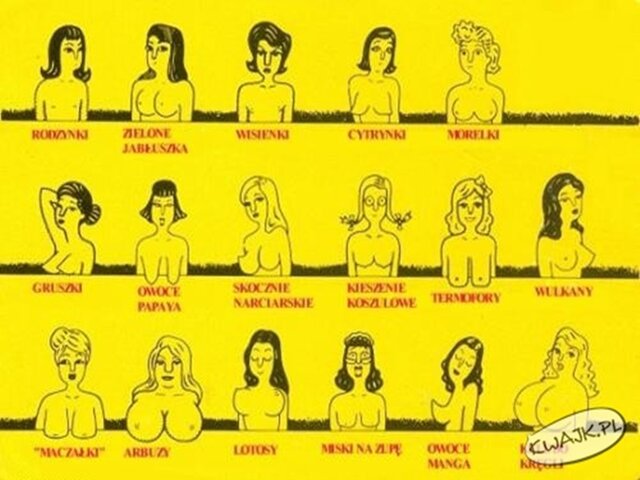 Rodzaje piersi 😈 Znalezione w necie 😉 - Ustatkowani