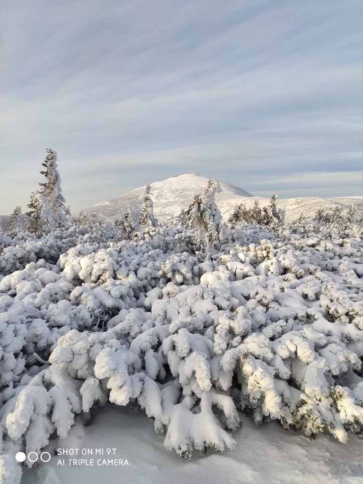 IMG_20201227_090647.jpg - sBastian1986