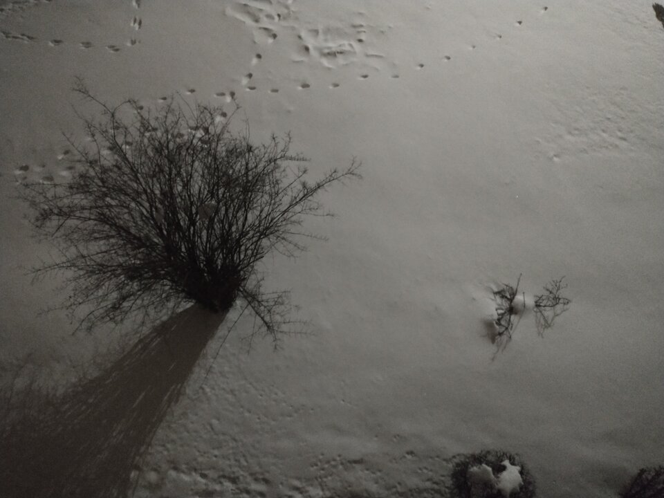 IMG_20210219_224449081.jpg - skrad_dleihs