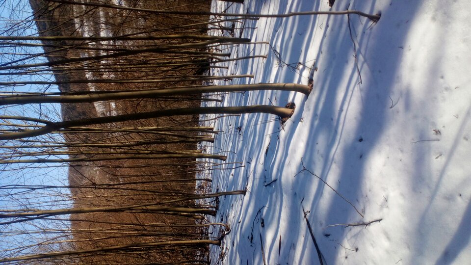 16138268415361349386853.jpg - Makowon