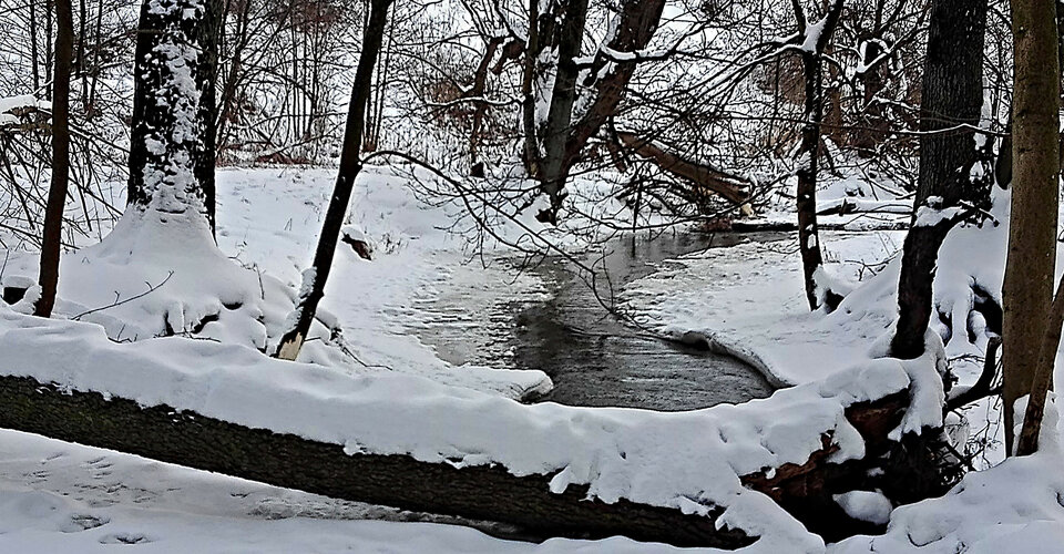 IMG_20210216_15135.jpg - Roscoo