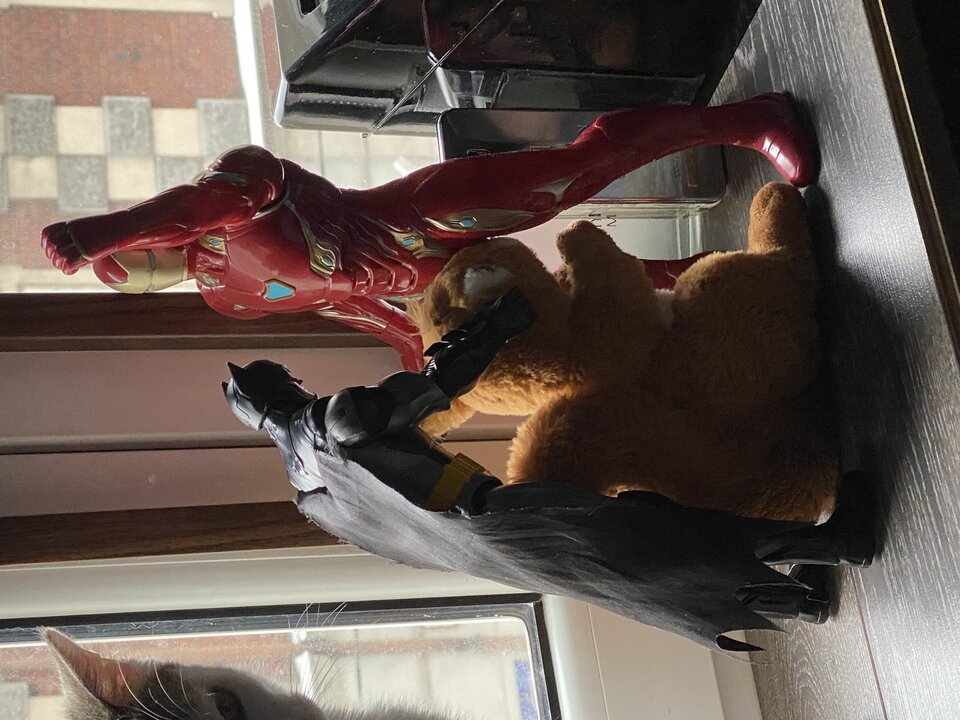 0B1FE503-7F6F-40BE-9039-B7D468C36843.jpeg - Majstersztyki