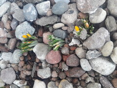 20210221_141033.jpg