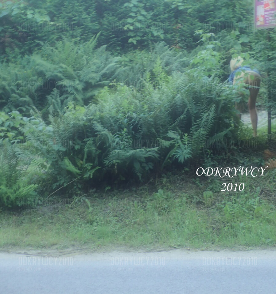 Widok z drogi ... - Odkrywcy2010