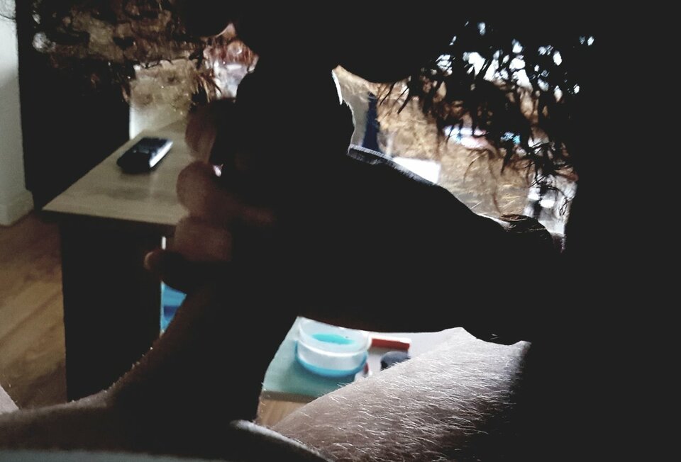 20200607_060125.jpg - Swiatowapara