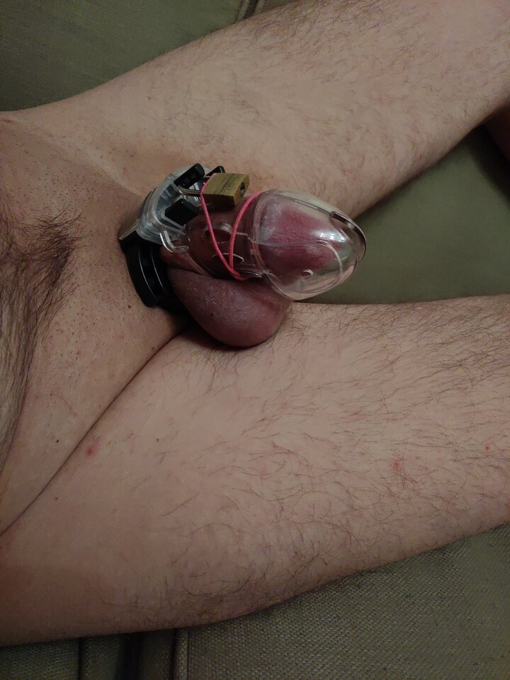 1614055329879132928734418340391.jpg - widzget