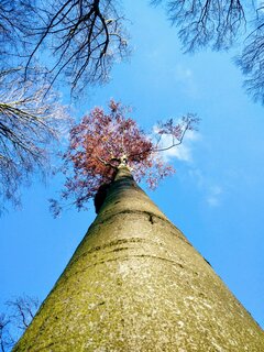IMG_20201128_140431~2.jpg