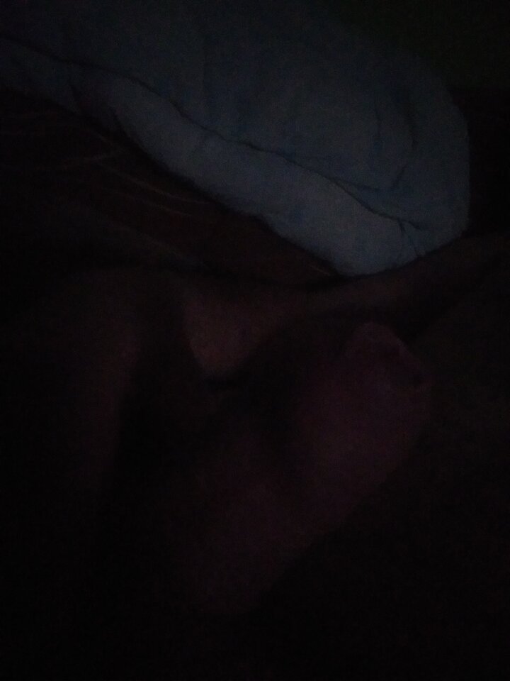 1614114138712366307344836290786.jpg - Waldek317