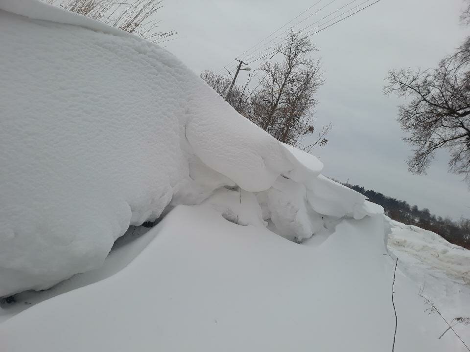 IMG_20210218_084519.jpg - piotrlub