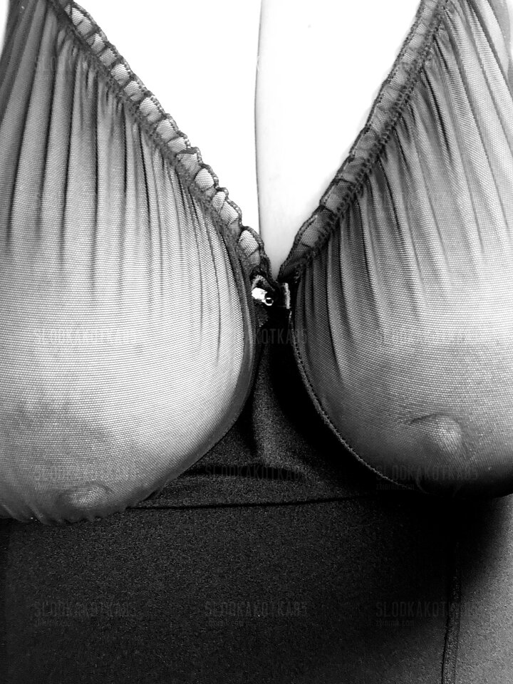 20210225_074100.jpg - slodkakotka85