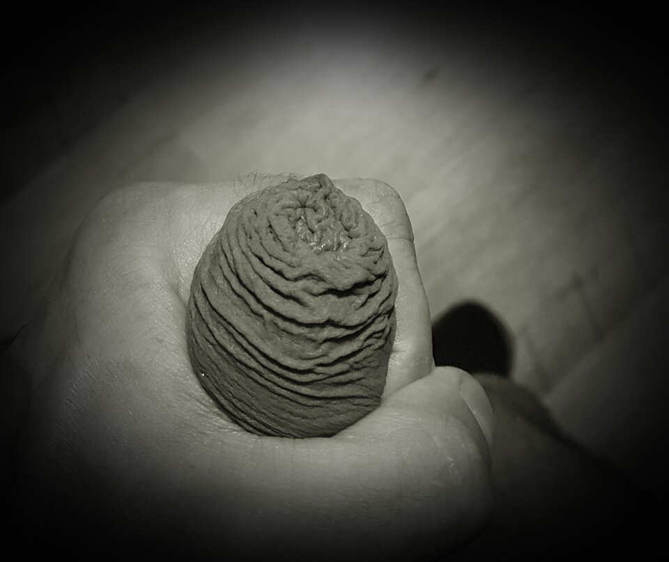 20210226_00302111.jpg - Ridd733