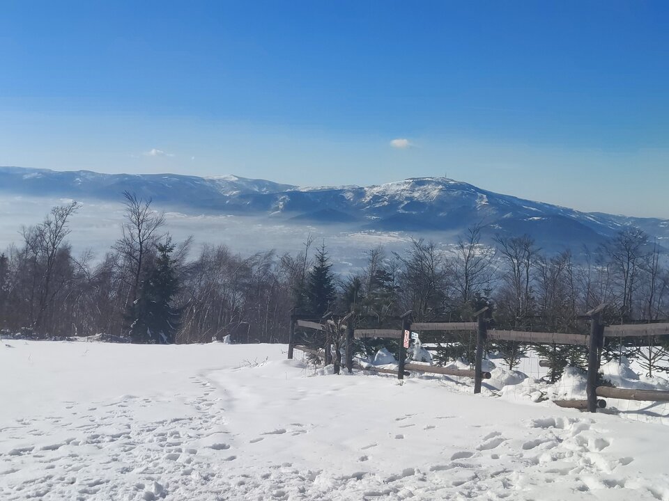 20210220_102441.jpg - Bery22