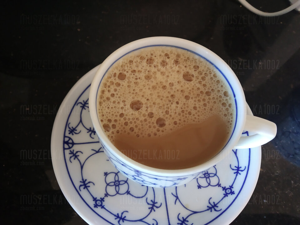 IMG_20210227_092759.jpg - Muszelka1002