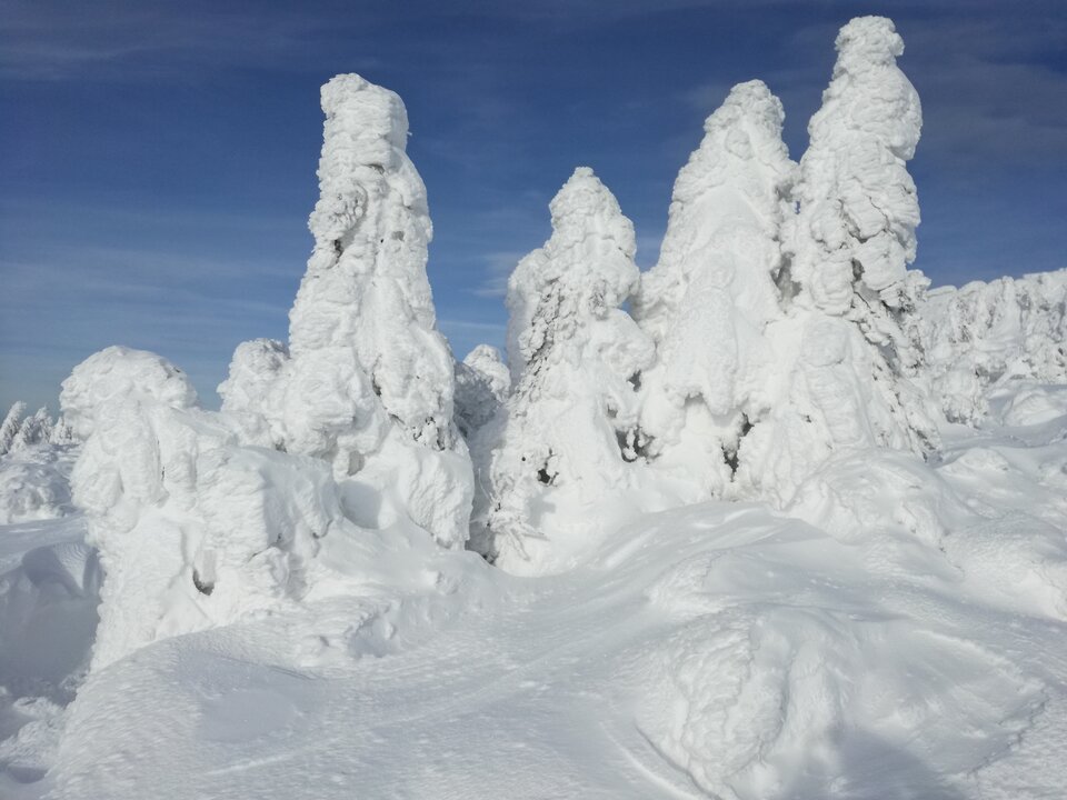 IMG_20210120_135520.jpg - Oczyniebieskie79