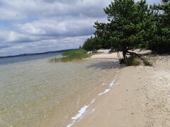 20190628_120008.jpg
