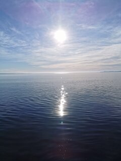 IMG_20210228_095548.jpg