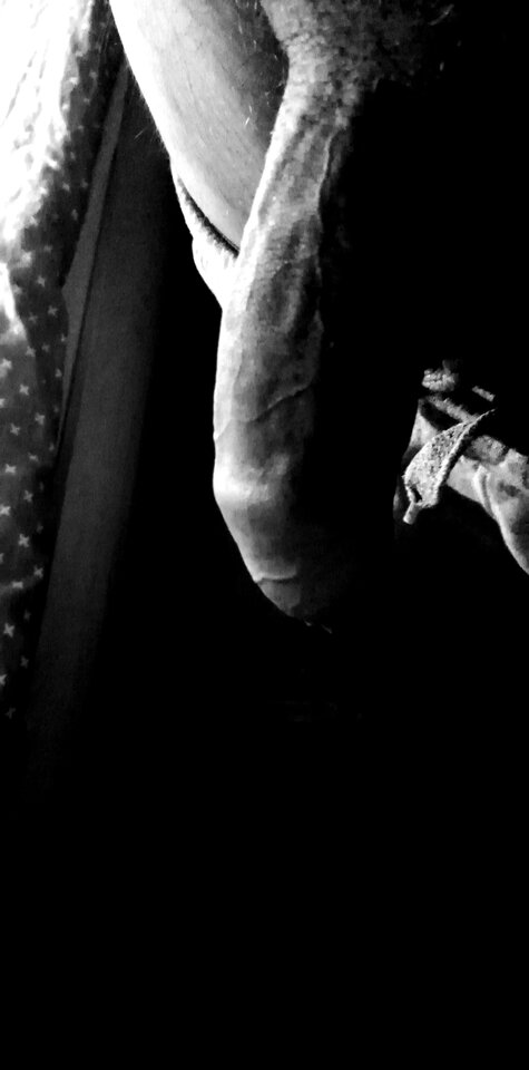 IMG_20210228_133906.jpg - BacumBacum