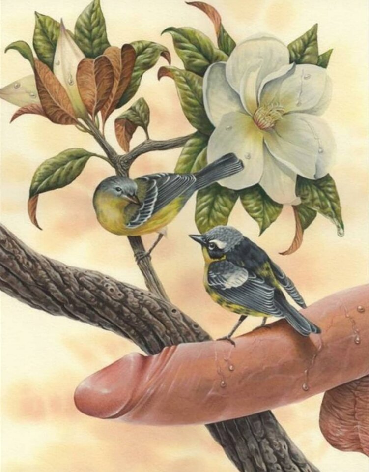 Screenshot_20210228_171959.jpg - toy1991