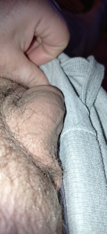 16145363086746787228928849270916.jpg - dupekalex