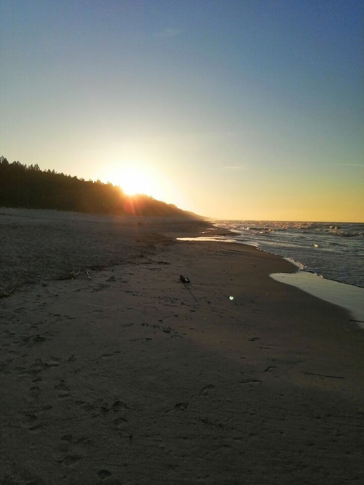 IMG_20210228_164157.jpg - Frelka_ze_wsi