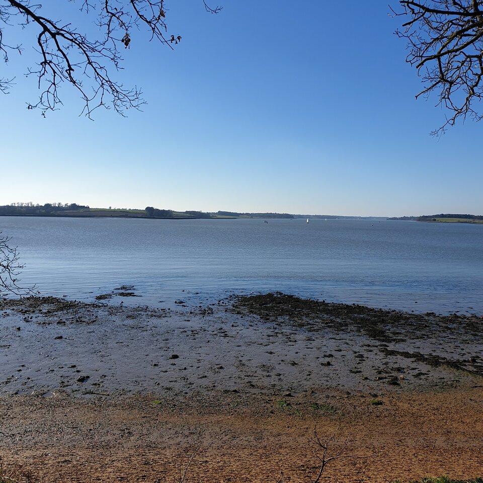 IMG_20210228_165428_343.jpg - Simonski