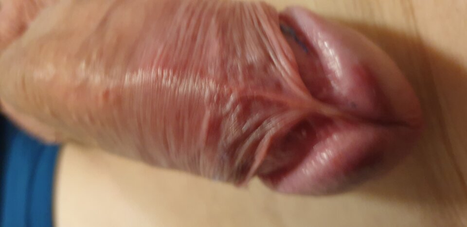 20210228_202053.jpg - robertoad