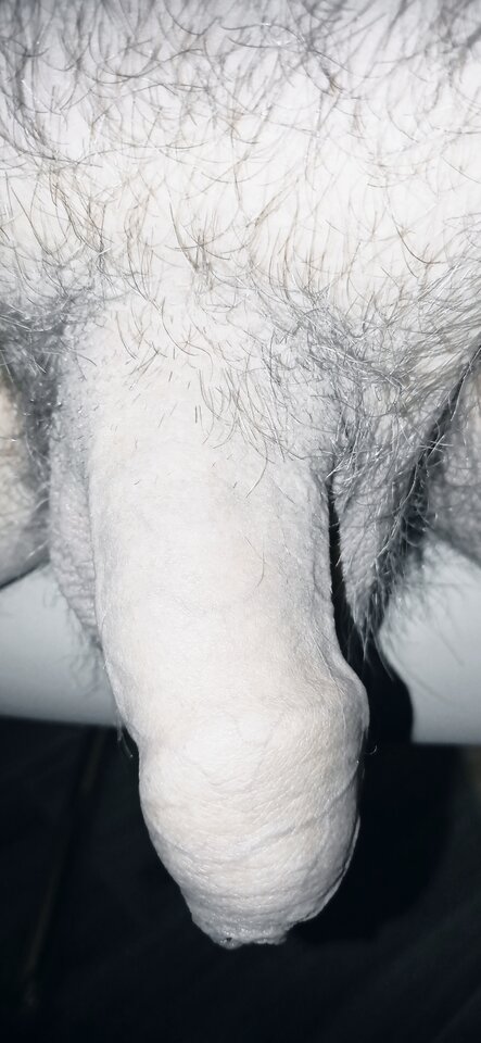 16146302243426464356138786706939.jpg - dupekalex