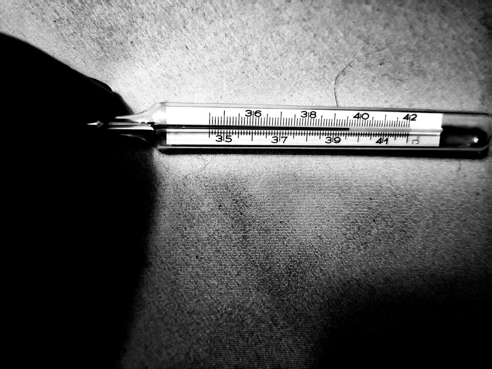 IMG_20210302_074209.jpg - 87urocza