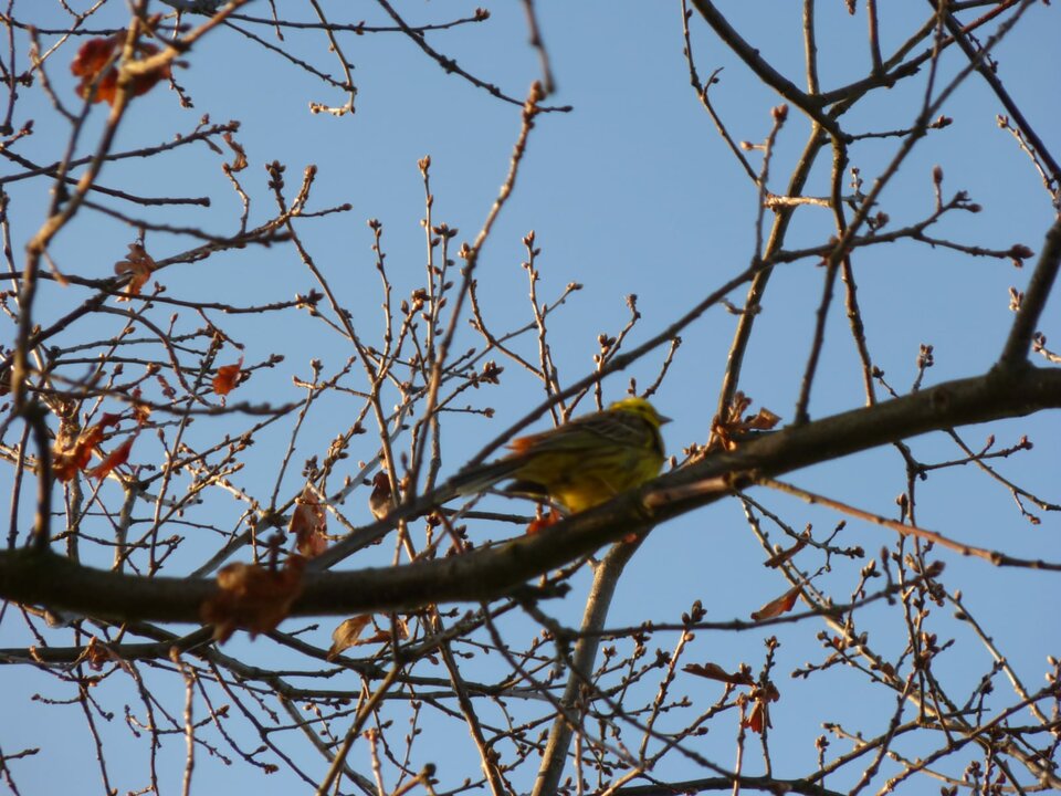 IMG-20191229-WA0036.jpg - BuBuChaCha