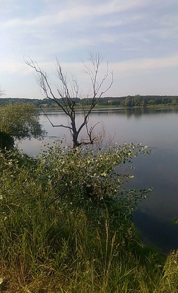 received_169131327262978.jpeg - BuBuChaCha